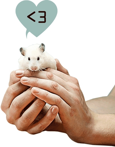 Two hands cupping a white mouse, with a heart-shaped thought bubble reading less-than three